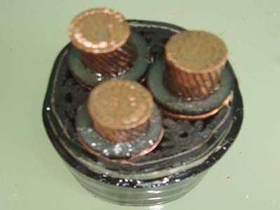 交联电力开云线上平台