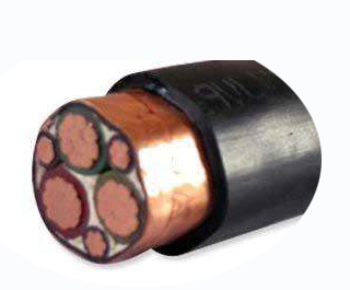 变频器专用电力开云线上平台